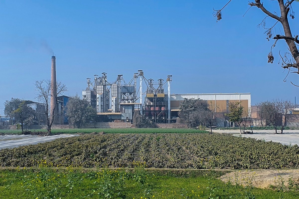 India Rice Factory Rice Exporters in India | Basmati Rice Exporters