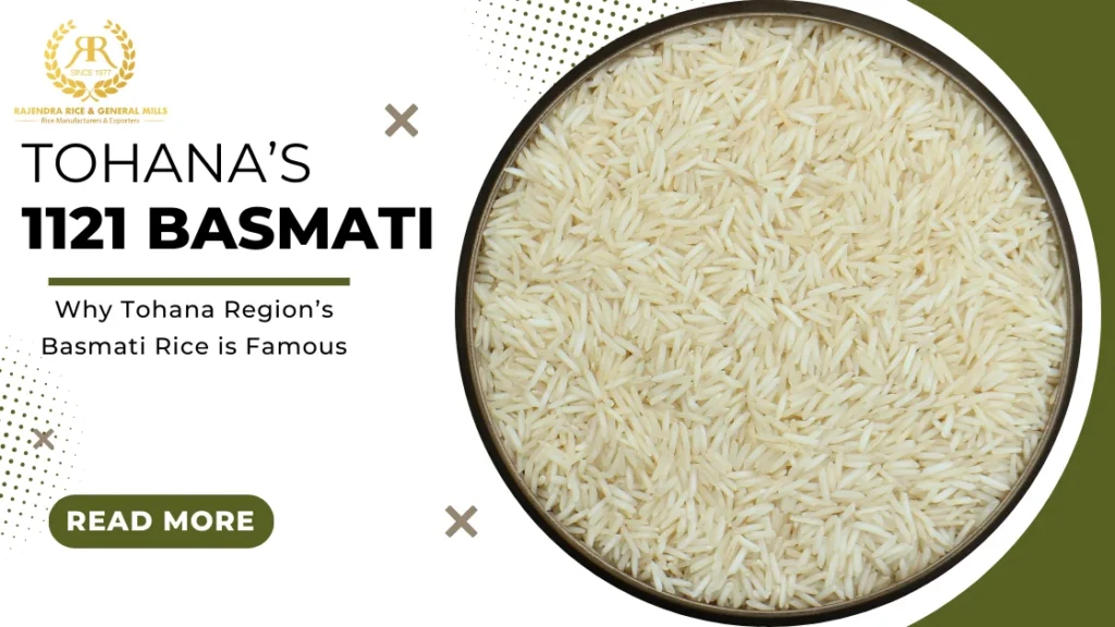 Why Tohana Region’s Basmati Rice is Famous